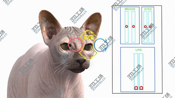 images/goods_img/20210312/3D Dark Cream Sphynx Cat Rigged model/3.jpg